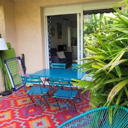Nice Studio 30 M With Terrace And Pool Antibes Exteriér fotografie